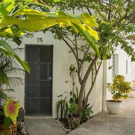 Albergue El Tigre De Santiago Mérida Exterior foto