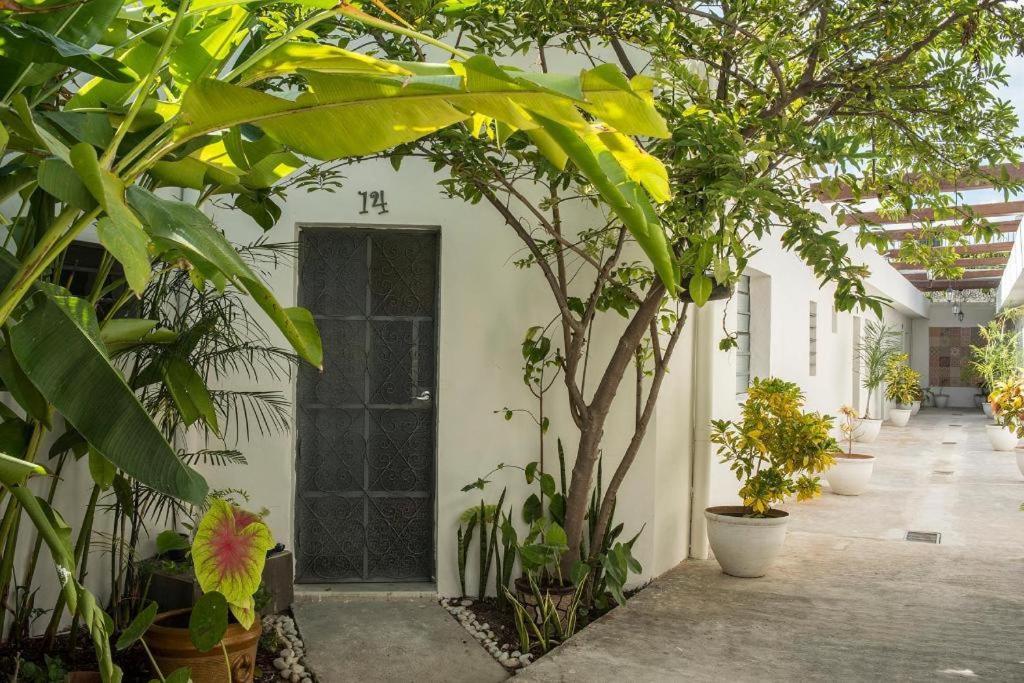 Albergue El Tigre De Santiago Mérida Exterior foto