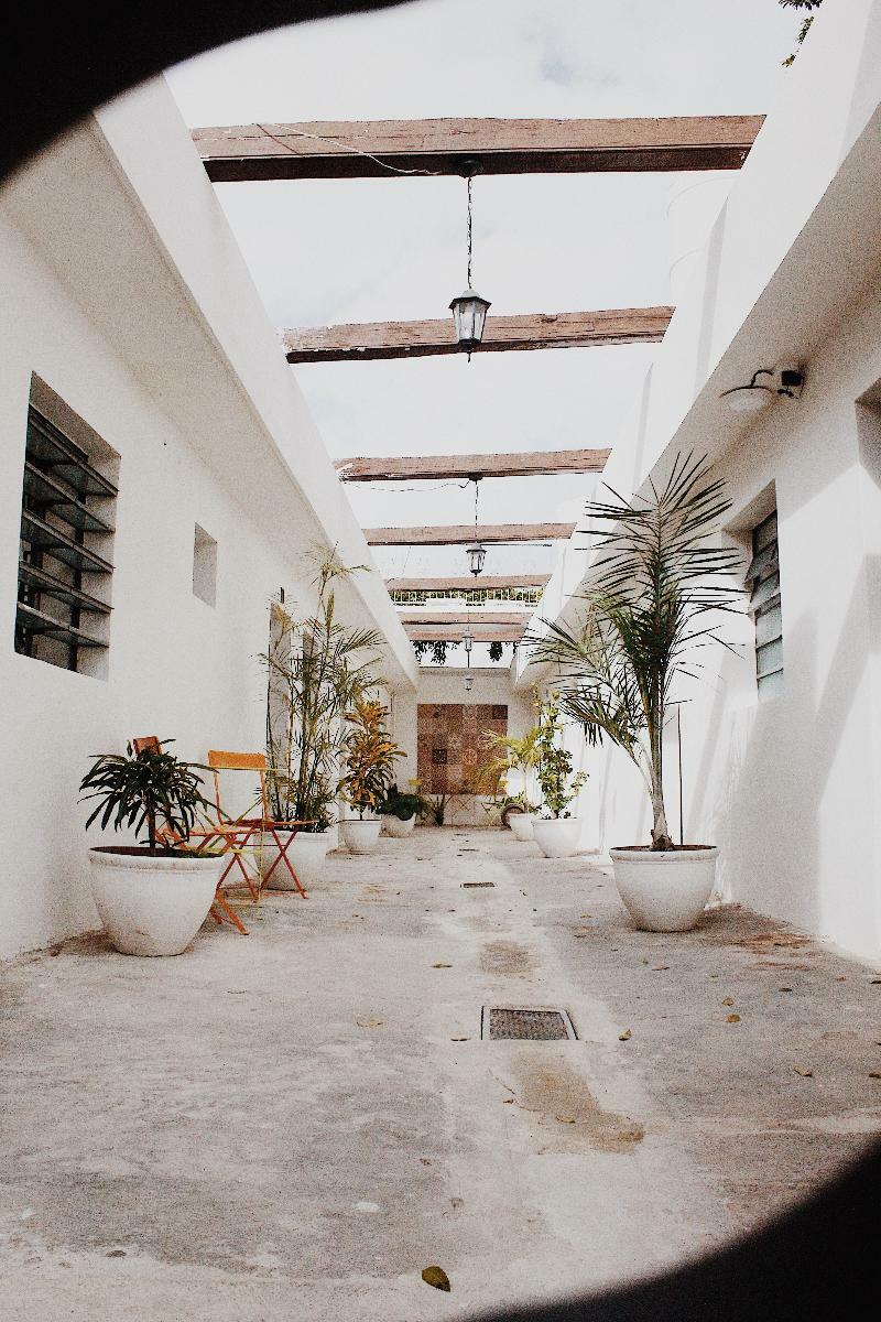 Albergue El Tigre De Santiago Mérida Exterior foto